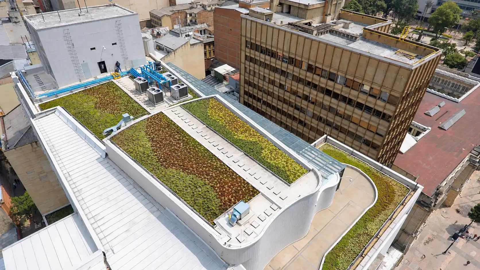 Cubierta verde con sedum sobre la terraza de un edificio en el centro de Bogotá