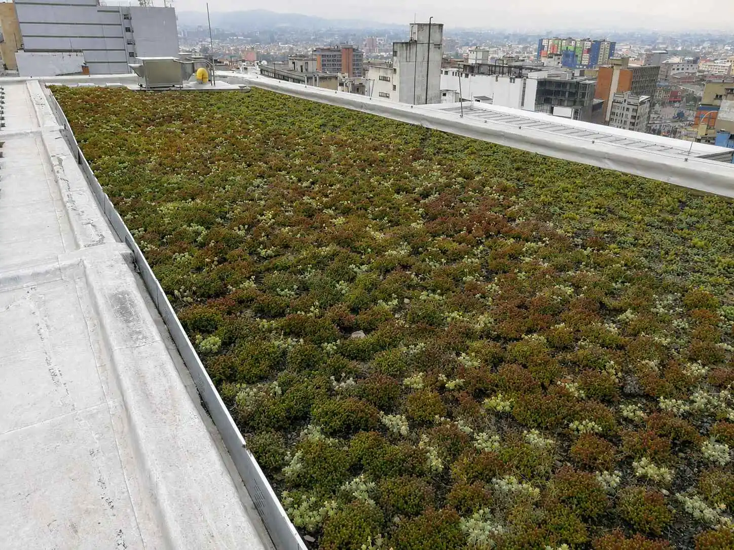 Cubierta verde con sedum sobre la terraza de un edificio en el centro de Bogotá