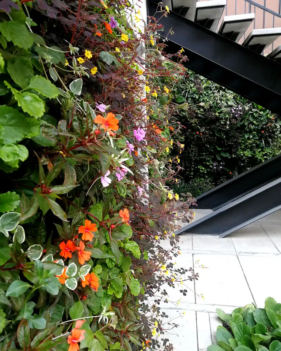 Jardín vertical con flores naranjas, rosadas y amarillas junto a una escalera