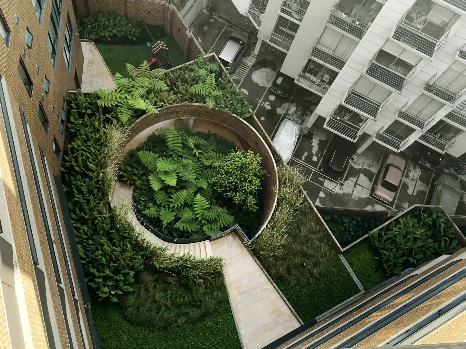 Jardín de patio con helechos y muro circular de ladrillo visto desde arriba