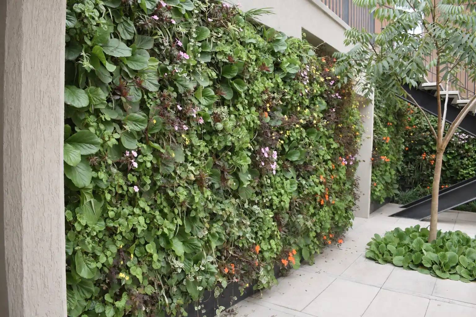 Jardín vertical con helechos, begonias y flores rosadas y naranjas junto a un árbol y una escalera metálica