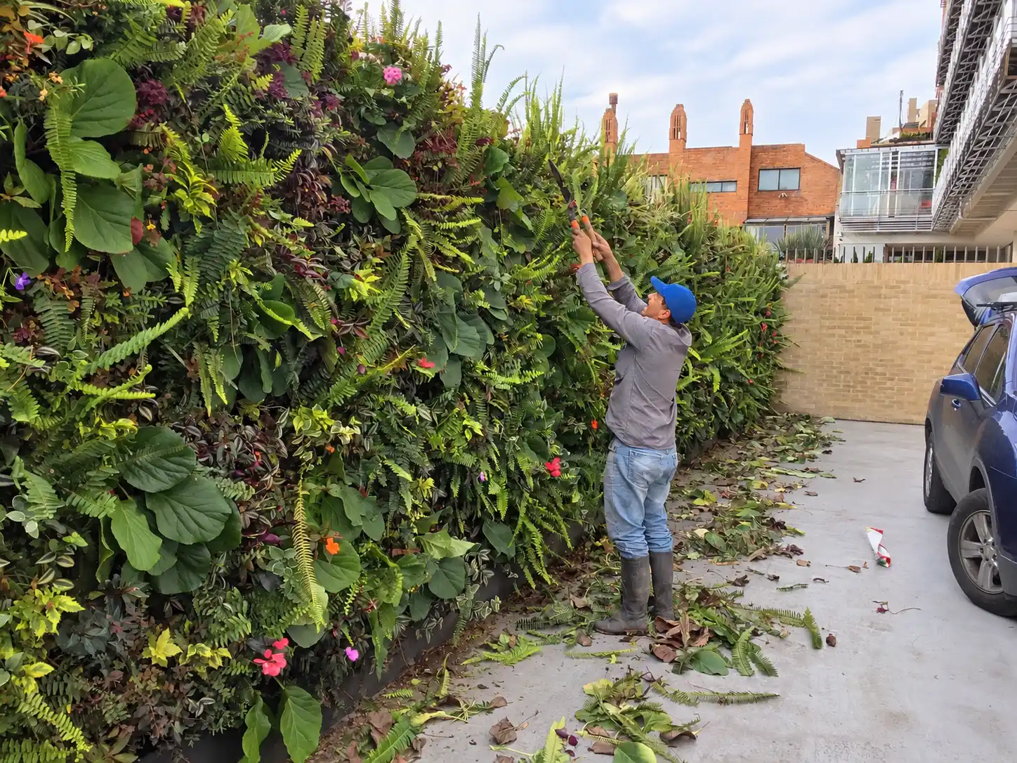 Jardinero podando un muro verde con helechos y flores